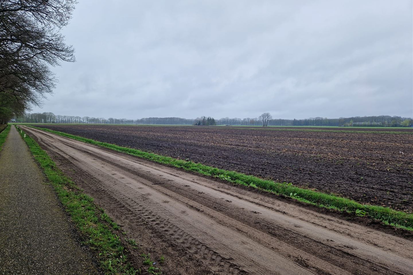 Bekijk foto 4 van Pijnenburgweg