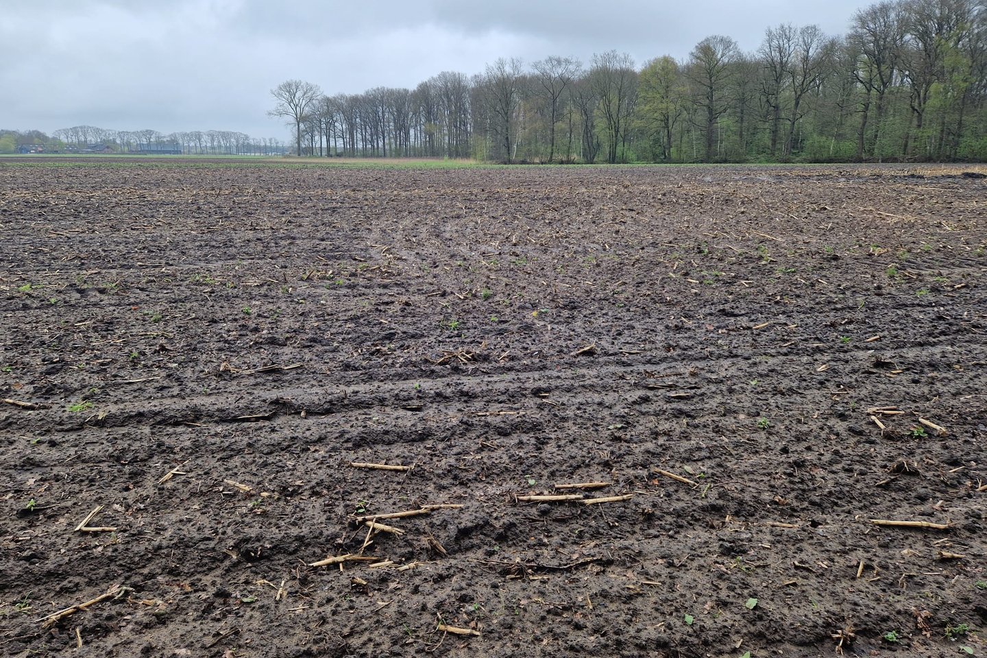 Bekijk foto 3 van Pijnenburgweg