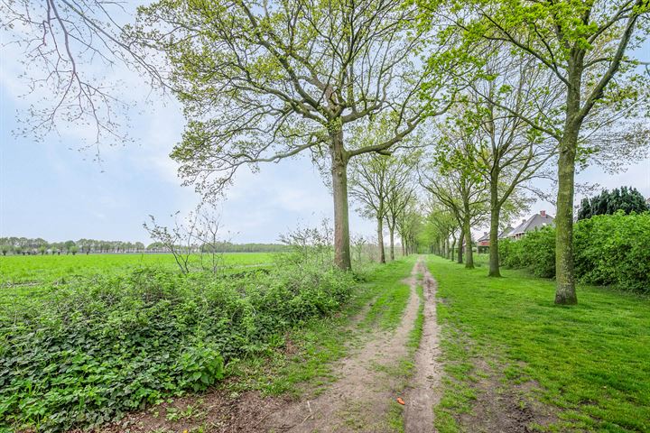 Bekijk foto 49 van Kuyperveld 15