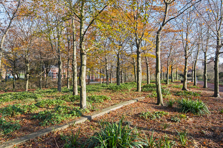 Bekijk foto 40 van Van Beuningenstraat 14-B