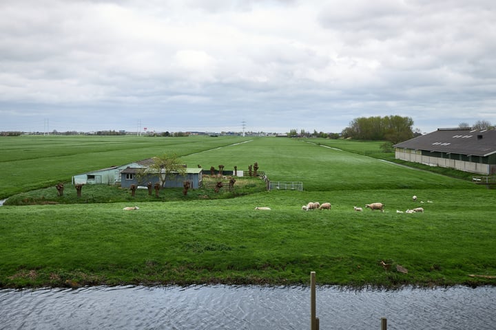 Foto 4 van Koningshof 12