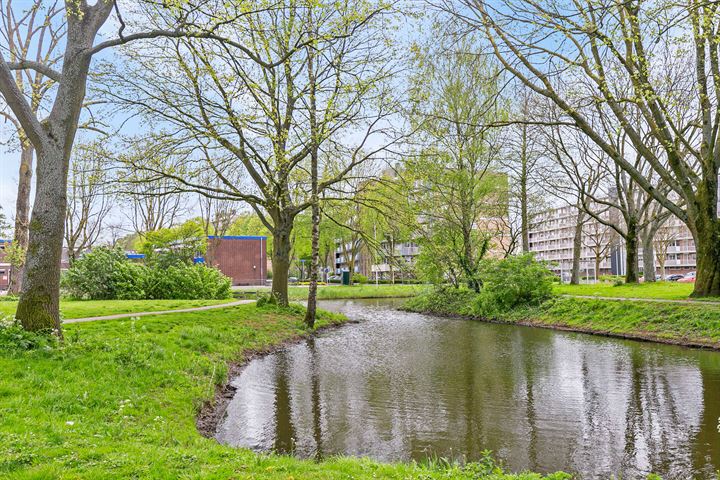 View photo 3 of van Godewijckstraat 267