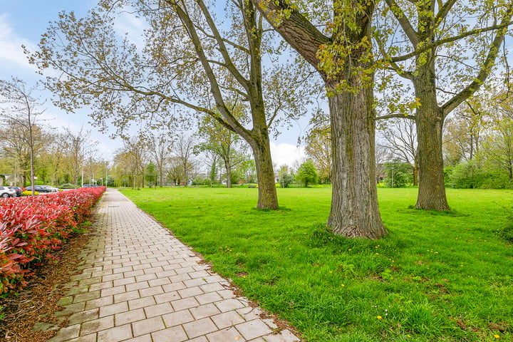 Bekijk foto 38 van Korenbloemweg 20