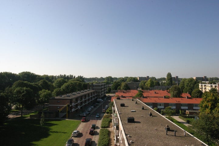 Bekijk foto 5 van Bontekoestraat 25-6