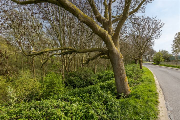 Bekijk foto 37 van Drinkwaterweg 411