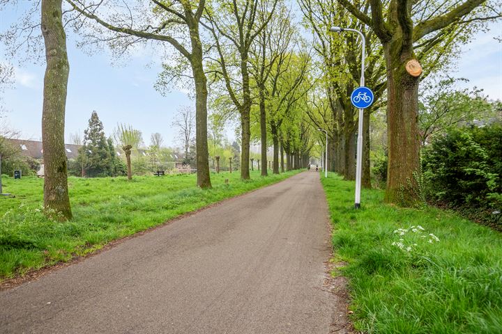 Bekijk foto 46 van Drontenhof 5