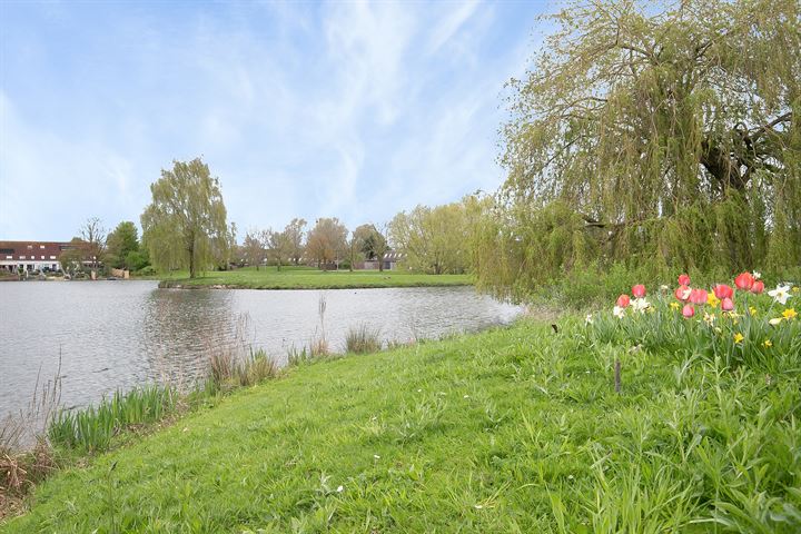 Bekijk foto 34 van Hegdambroek 1515