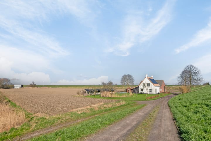 Foto 49 van Duivenhoeksestraat 30