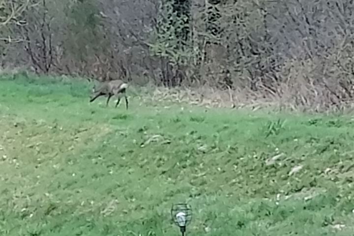 Bekijk foto 65 van Bruchterbeekweg 1