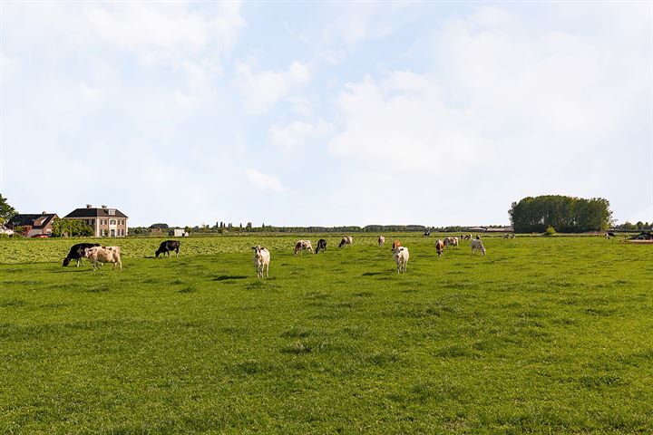 Bekijk foto 40 van Rustenburgweg 8