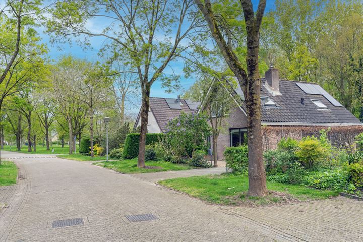 Bekijk foto 3 van Berkelstraat 33