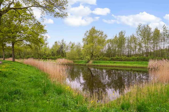 Bekijk foto 47 van Fientje Brouwersstraat 35