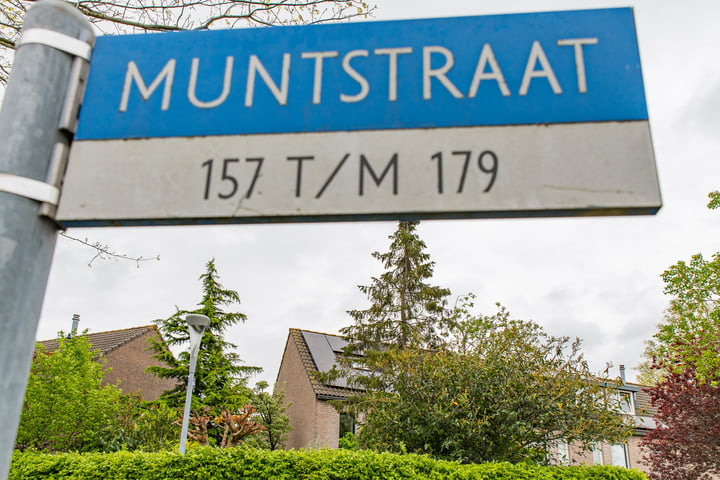 Bekijk foto 38 van Muntstraat 179