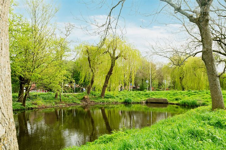 Bekijk foto 40 van Avenhornstraat 53