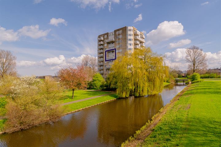 Bekijk foto 33 van Rosa Spierlaan 394