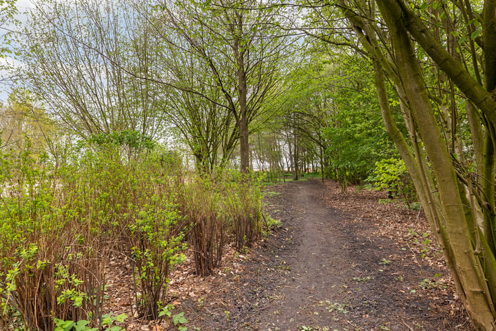 Bekijk foto 38 van Mantingerdijk 22