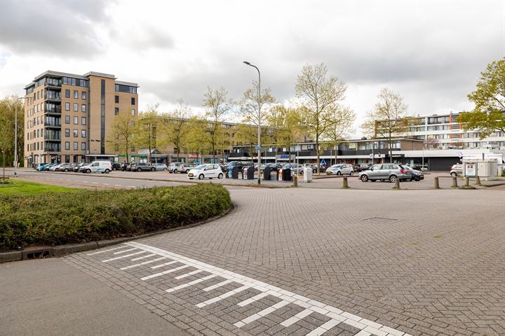 Bekijk foto 49 van Tamboerlaan 271