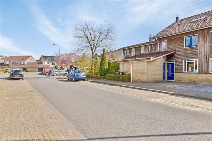 Bekijk foto 4 van Zeehondstraat 59