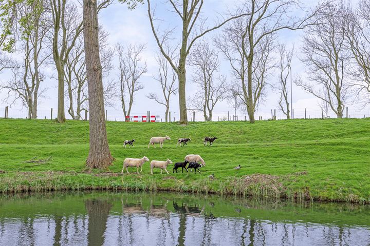 Bekijk foto 4 van Hendrik Chabotstraat 1