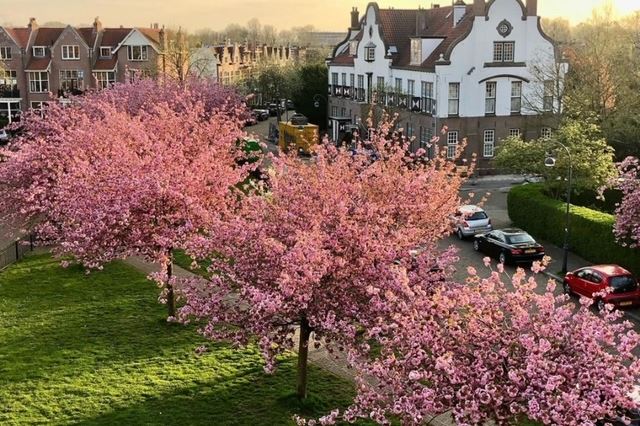 Bekijk foto 47 van Oranjeplein 17