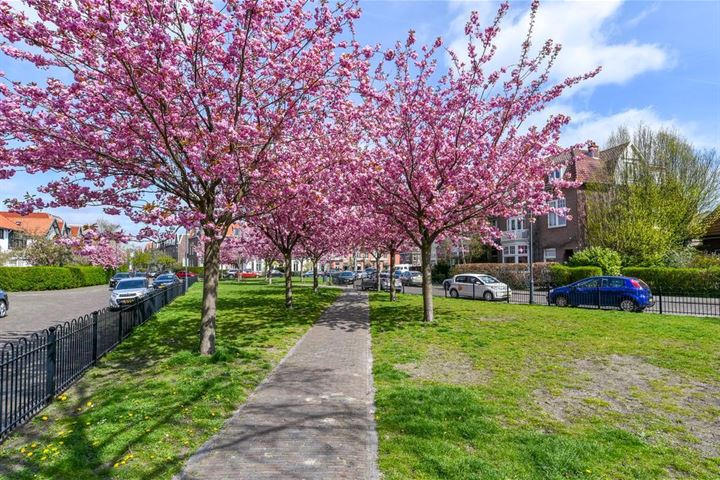 Bekijk foto 49 van Oranjeplein 17