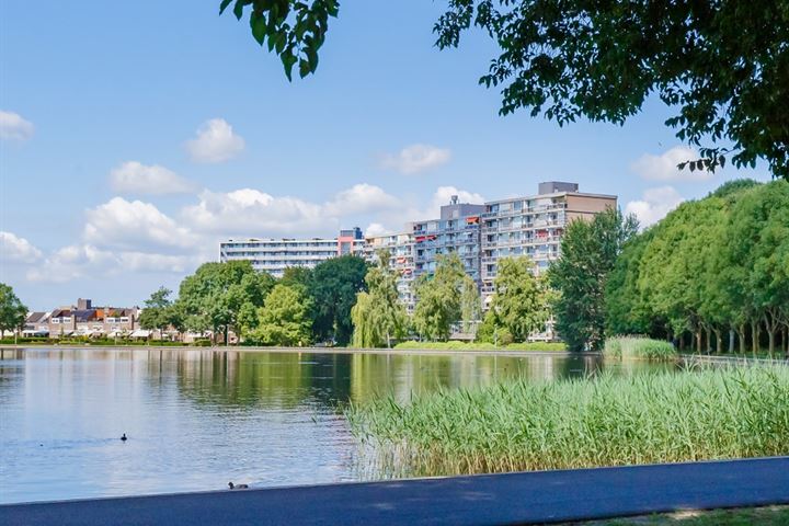 Bekijk foto 4 van Venusstraat 290