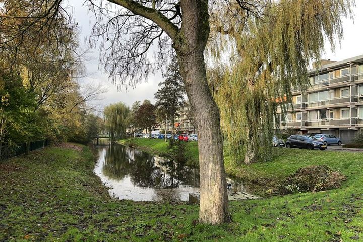 Bekijk foto 4 van Zwanensingel 70