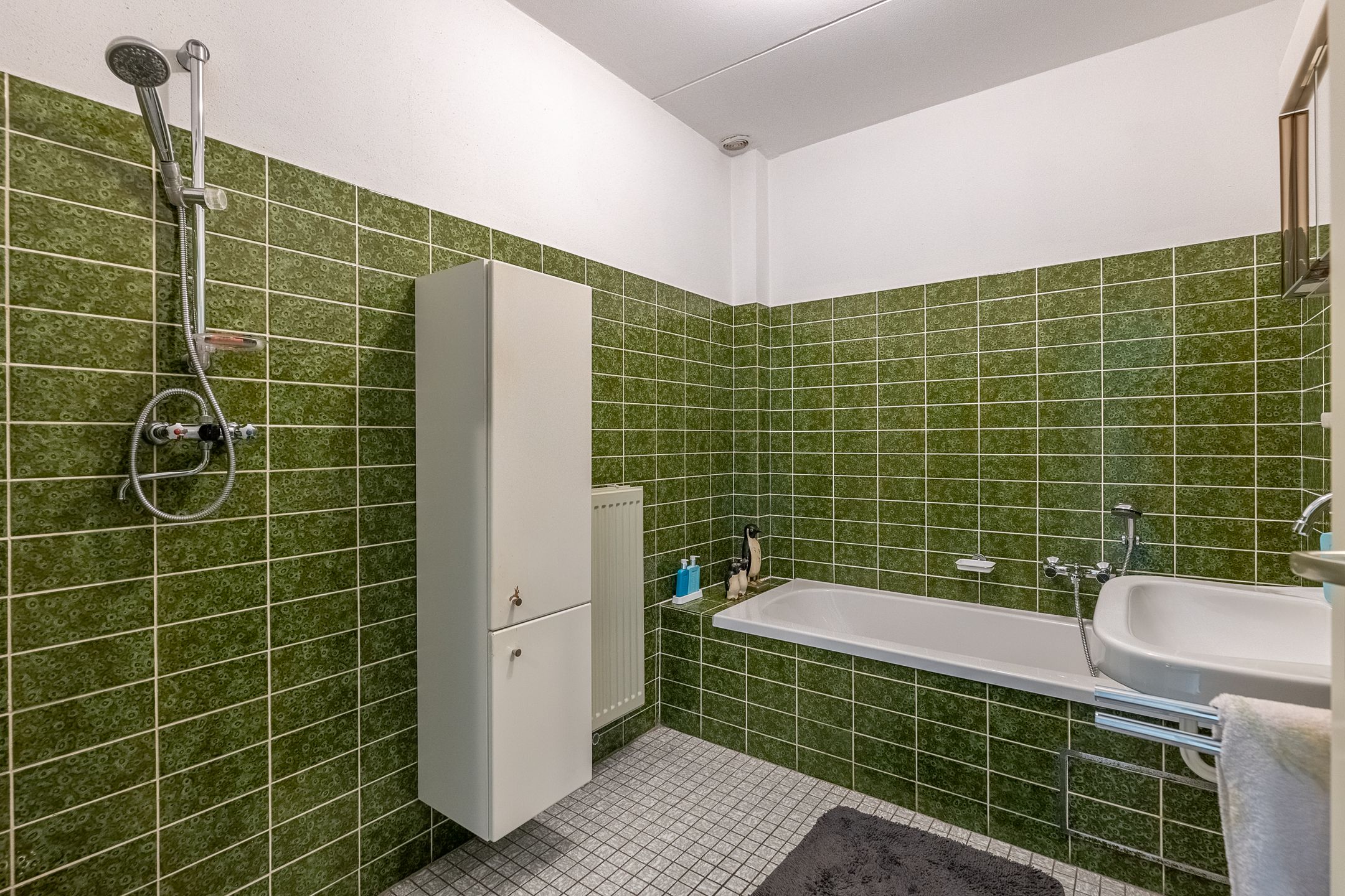 Foto 39 van dr. H.C.M. Ghijsenstraat 12