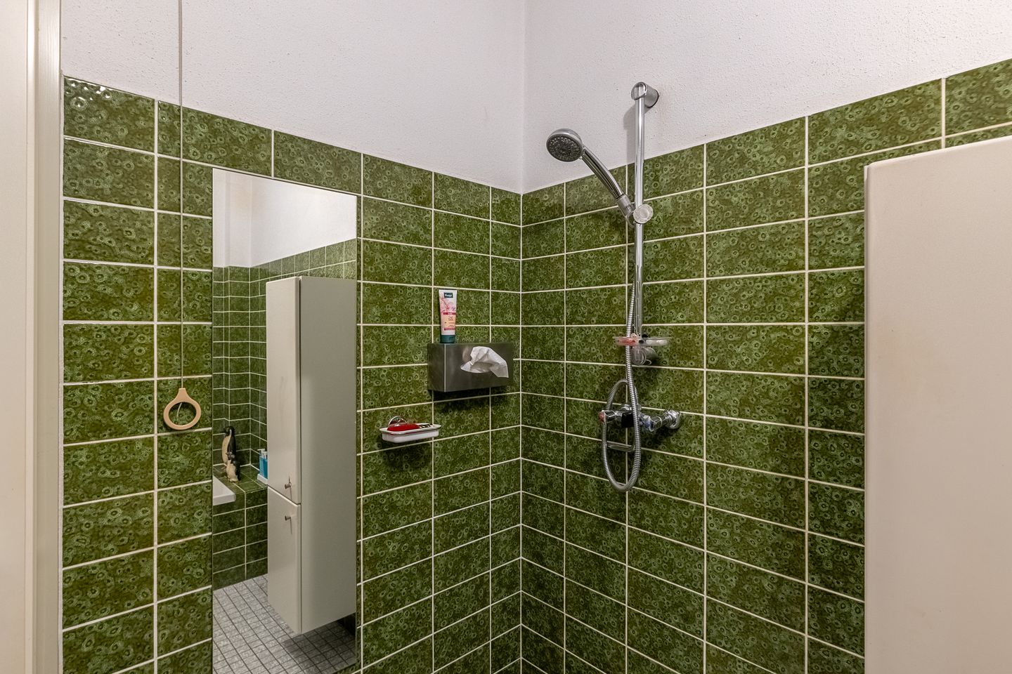 Foto 40 van dr. H.C.M. Ghijsenstraat 12