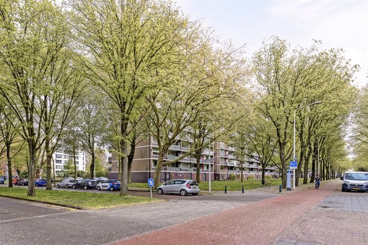 Bekijk foto 3 van Nieuwendamlaan 204