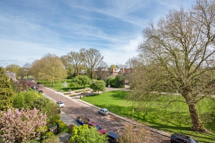 Foto 49 van Nieuwe Plantage 12