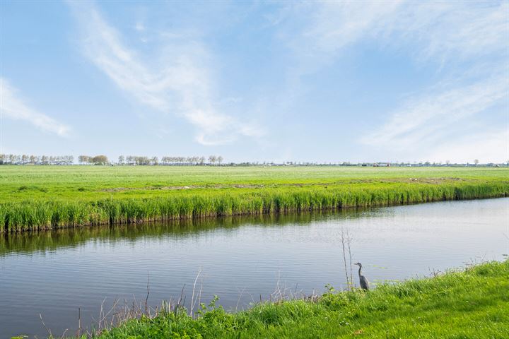 Bekijk foto 48 van Jeltje de Bosch Kemperstraat 155