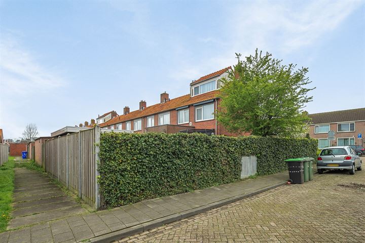 Bekijk foto 41 van Visartstraat 41