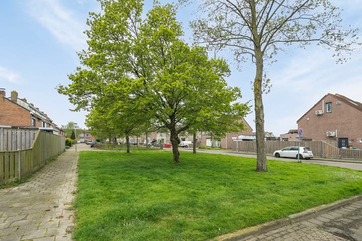 Foto 44 van Visartstraat 41