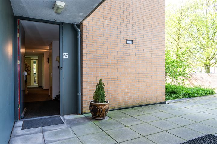 View photo 37 of Treubstraat 67