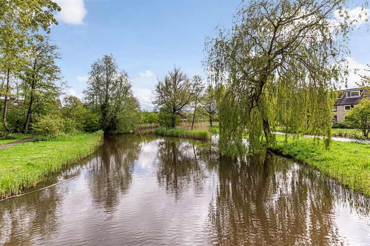 Bekijk foto 48 van Vingerhoedskruid 1