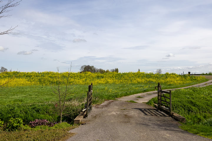 Bekijk foto 39 van Hogedijk 9-B