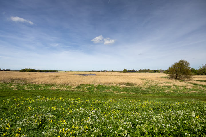 Bekijk foto 41 van Hogedijk 9-B