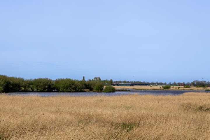 Bekijk foto 42 van Hogedijk 9-B