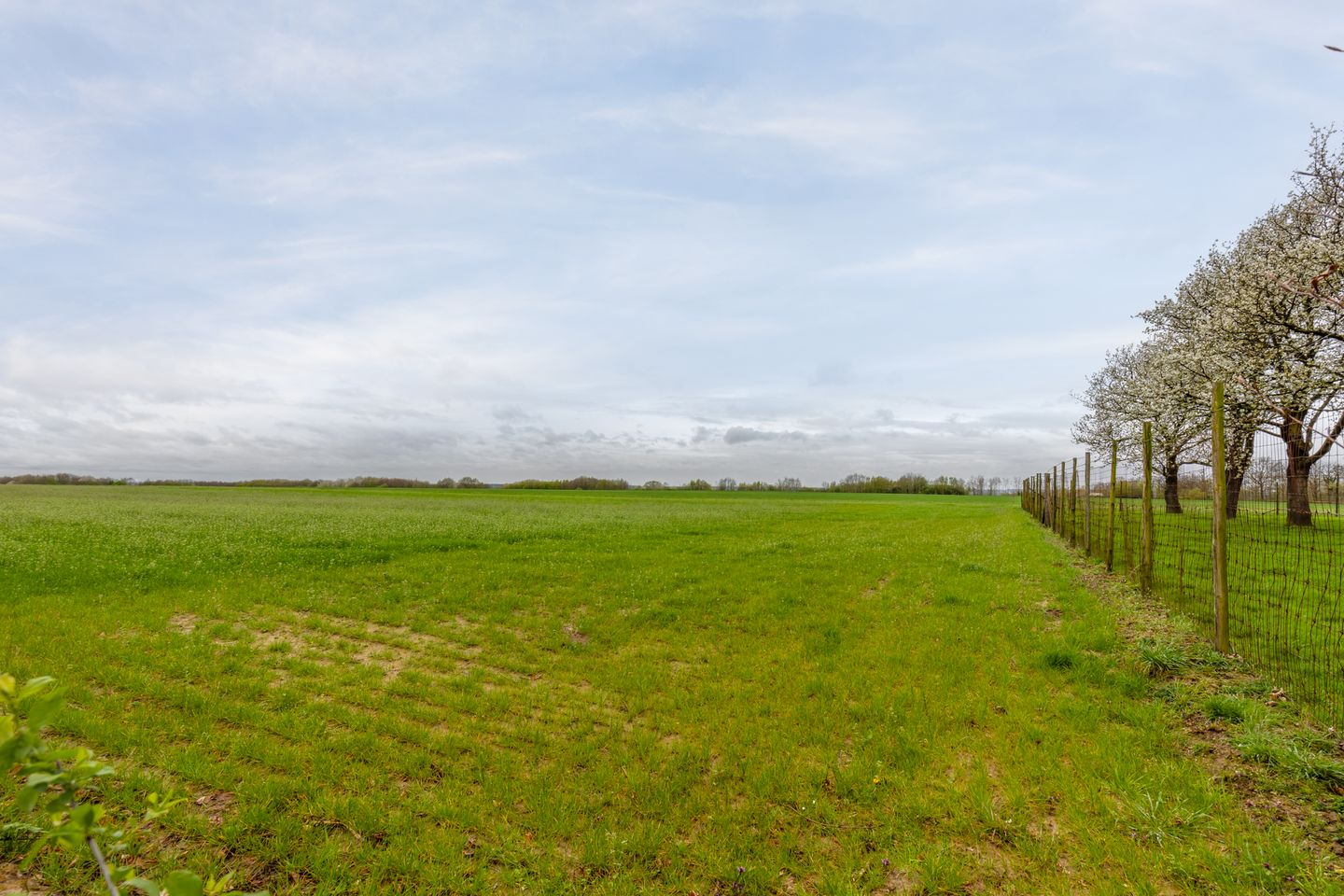 Foto 10 van Rijksweg 6-24