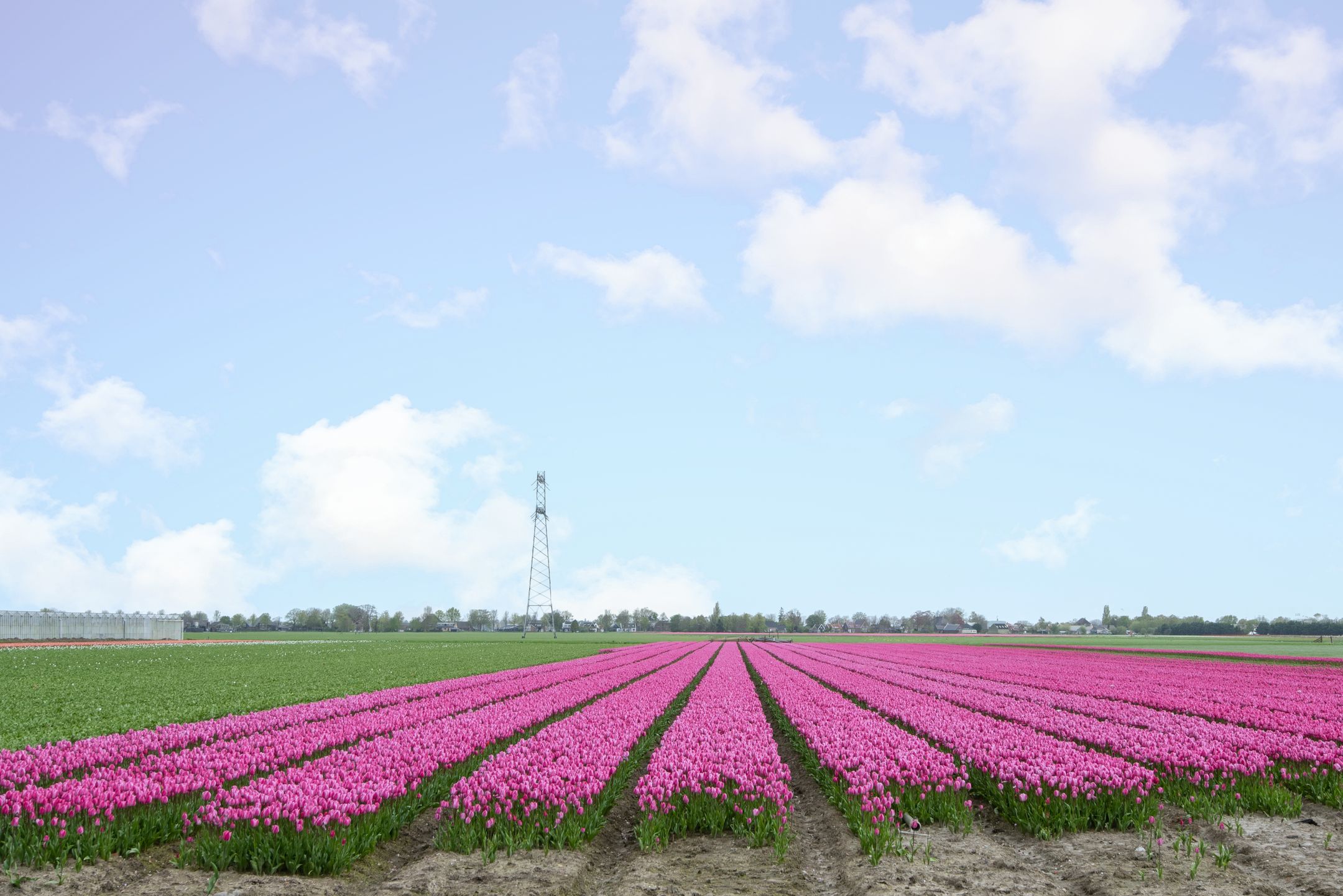 Foto 42 van Zwaagdijk 278