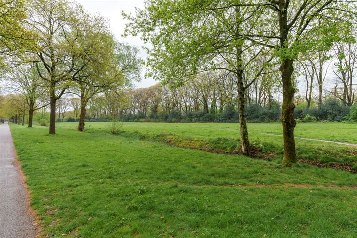 View photo 33 of Park Sparrendaal 57