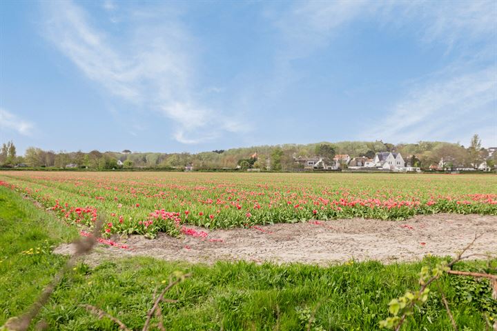 Bekijk foto 58 van Nieuwe Zeeweg 17