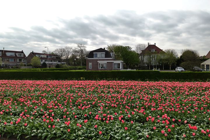 Bekijk foto 60 van Nieuwe Zeeweg 17