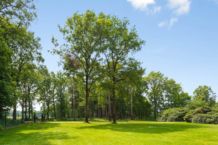 Foto 10 van Geeneindseweg 7