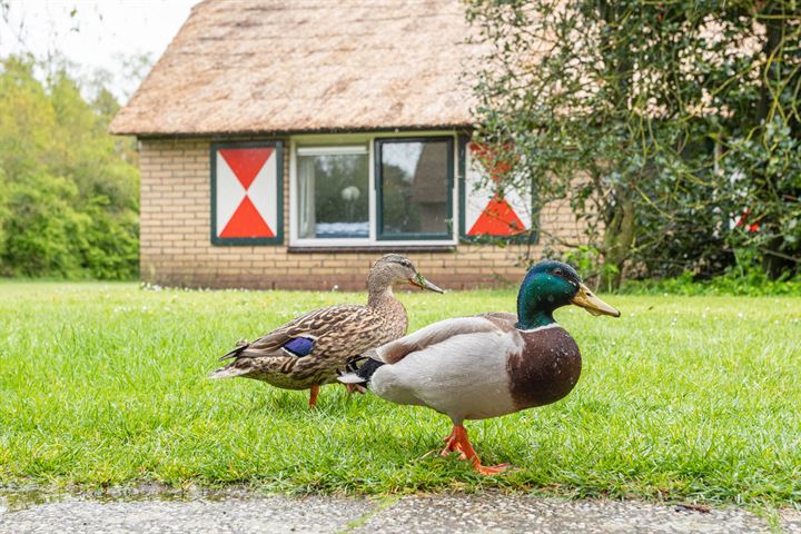 Bekijk foto 9 van Krachtighuizerweg 38--238