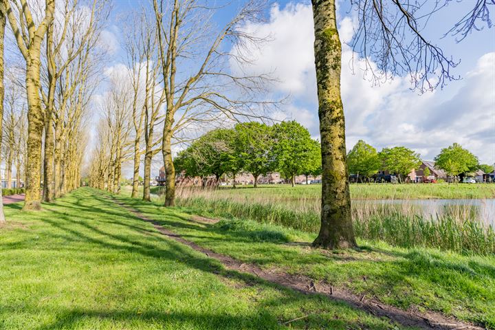 Bekijk foto 42 van Schoener 16 59