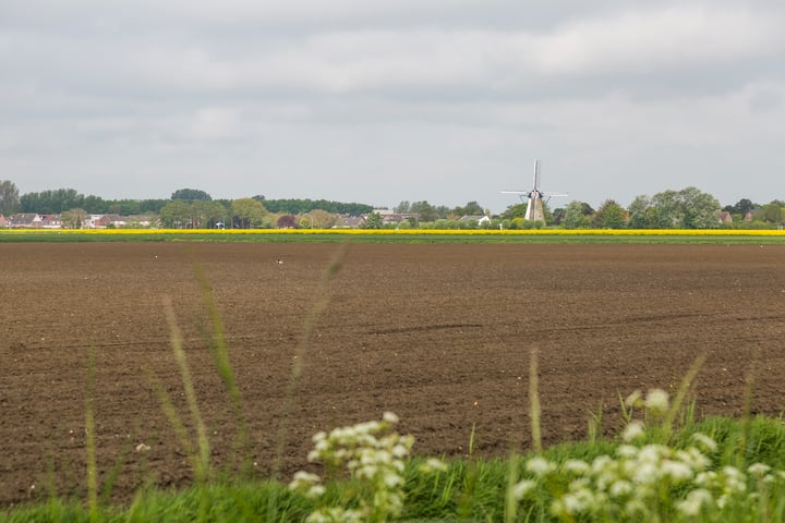 Bekijk foto 40 van Voorstraat 65