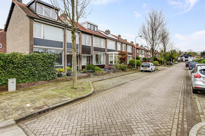 Bekijk foto 38 van Ananasstraat 22