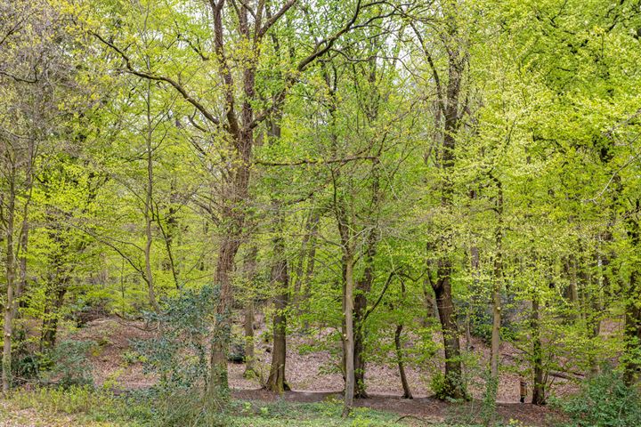 Bekijk foto 40 van Pinkenbergseweg 5-E